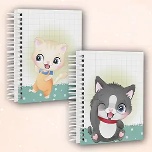 a16.webp